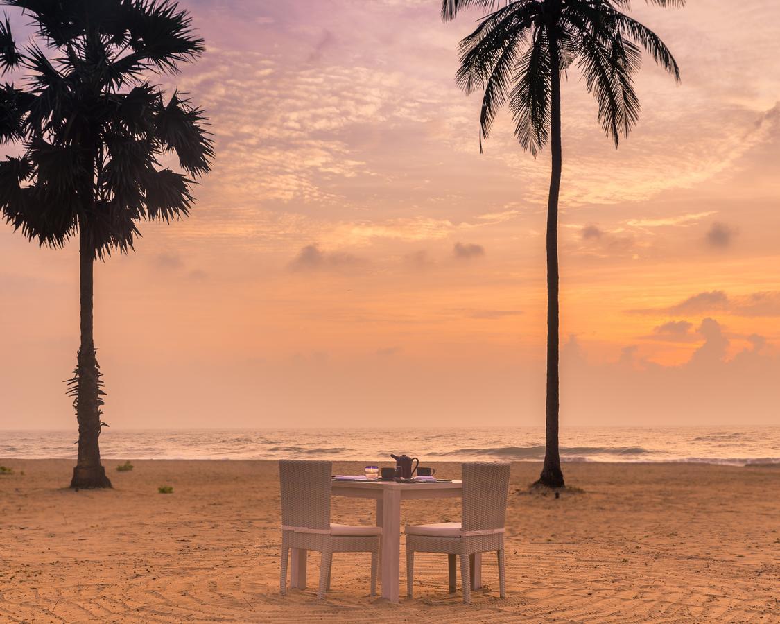 Jetwing Surf & Safari, A Luxury Reserve Arugam Bay Zewnętrze zdjęcie